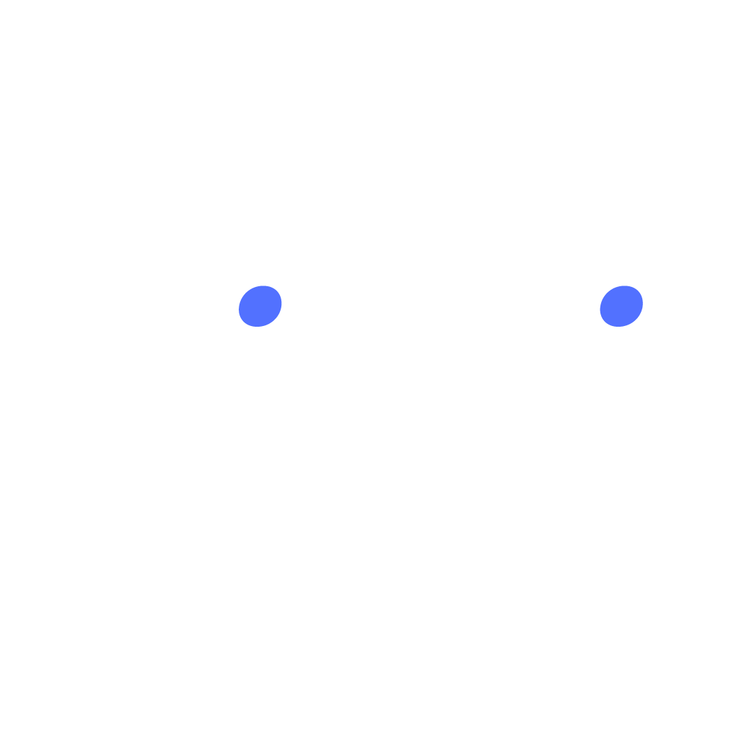 RIVVI